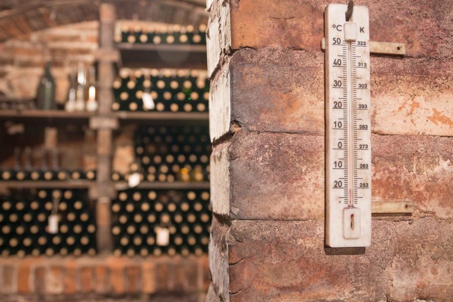 The Best Wine Storage Temperature (Wine Temperature Chart)