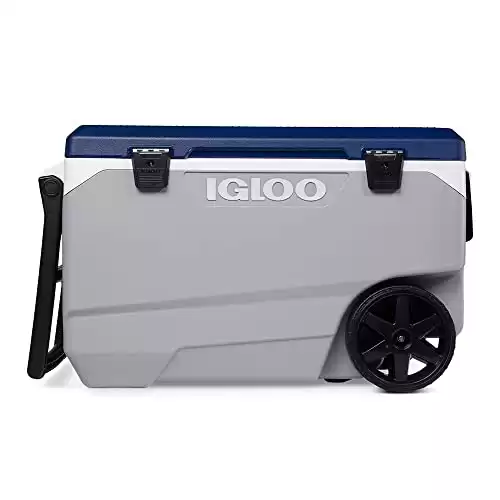 IGLOO Outdoor Maxcold Latitude 90 Cool Box, Gris foncé/Bleu, 85 Liter